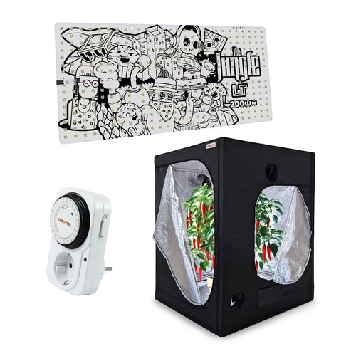Kit coltivazione peperoncini - kit,